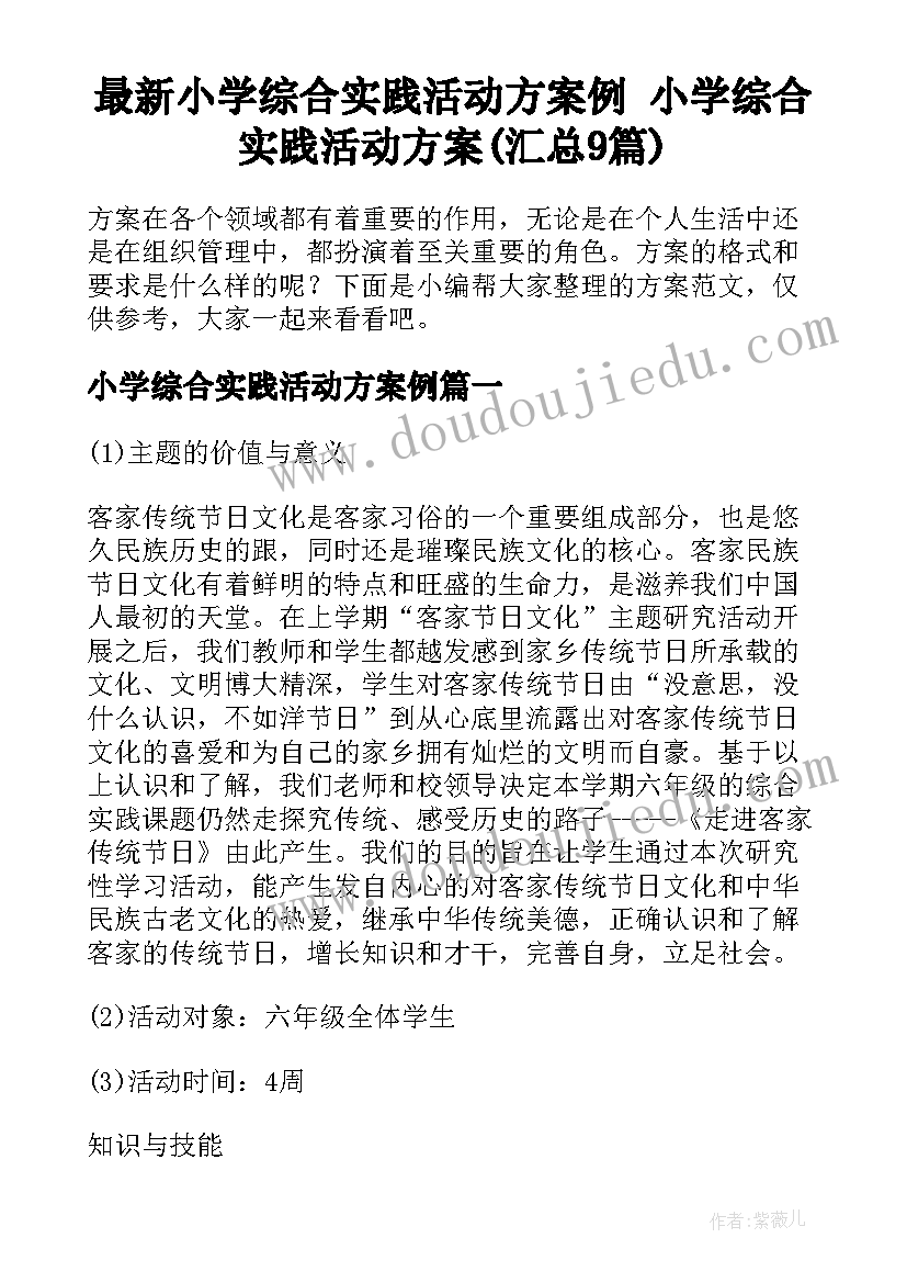 最新小学综合实践活动方案例 小学综合实践活动方案(汇总9篇)