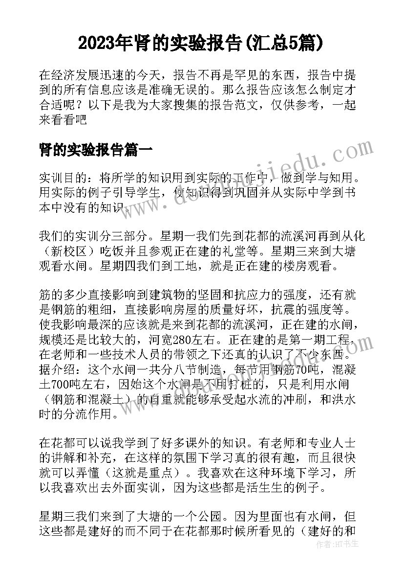 2023年肾的实验报告(汇总5篇)