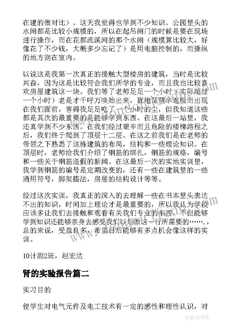 2023年肾的实验报告(汇总5篇)