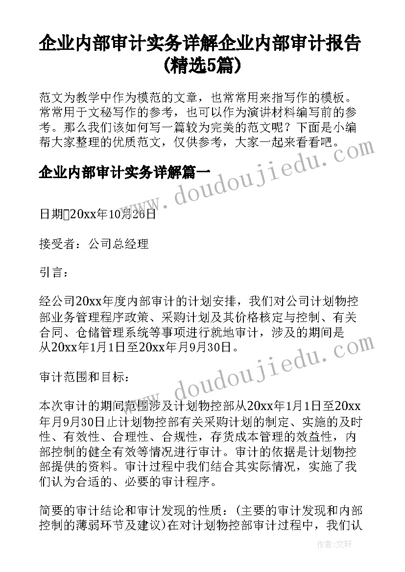 企业内部审计实务详解 企业内部审计报告(精选5篇)