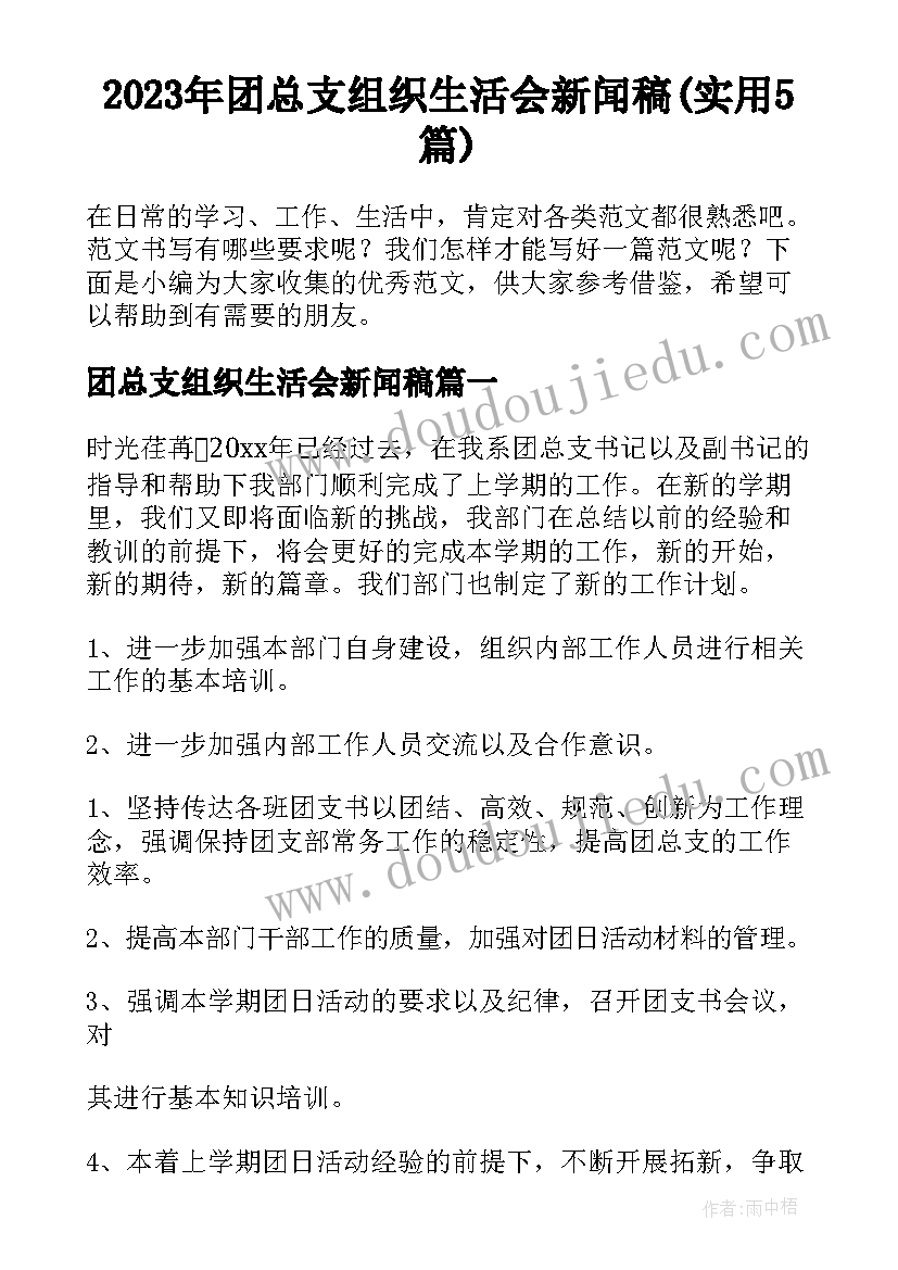 2023年团总支组织生活会新闻稿(实用5篇)