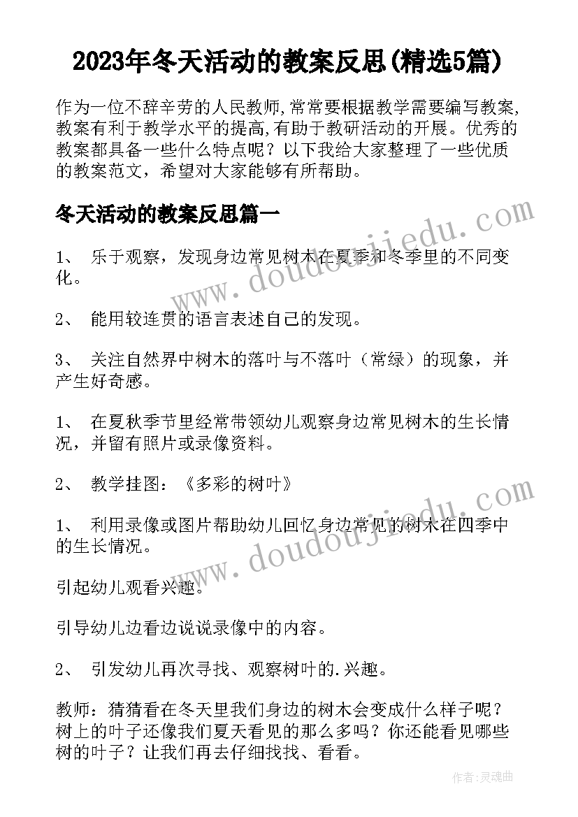 2023年冬天活动的教案反思(精选5篇)