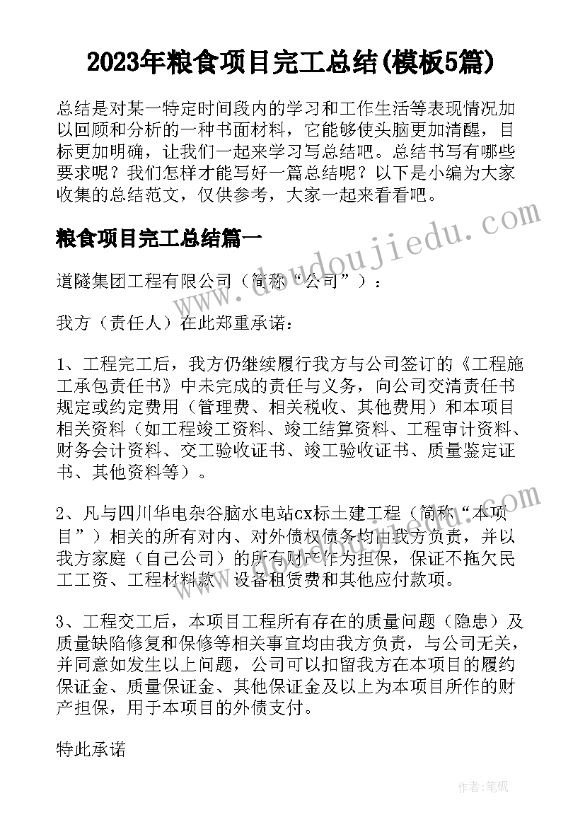 2023年粮食项目完工总结(模板5篇)