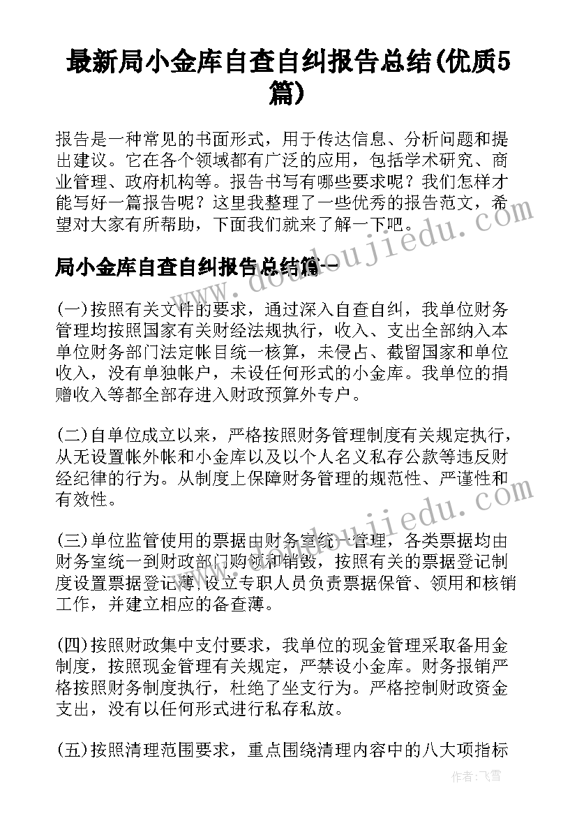 最新局小金库自查自纠报告总结(优质5篇)