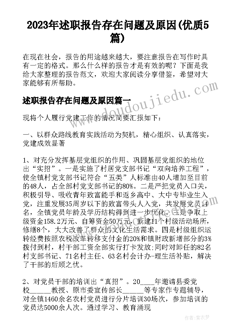 2023年述职报告存在问题及原因(优质5篇)