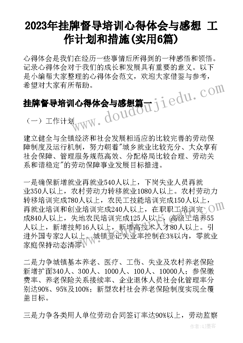 2023年挂牌督导培训心得体会与感想 工作计划和措施(实用6篇)