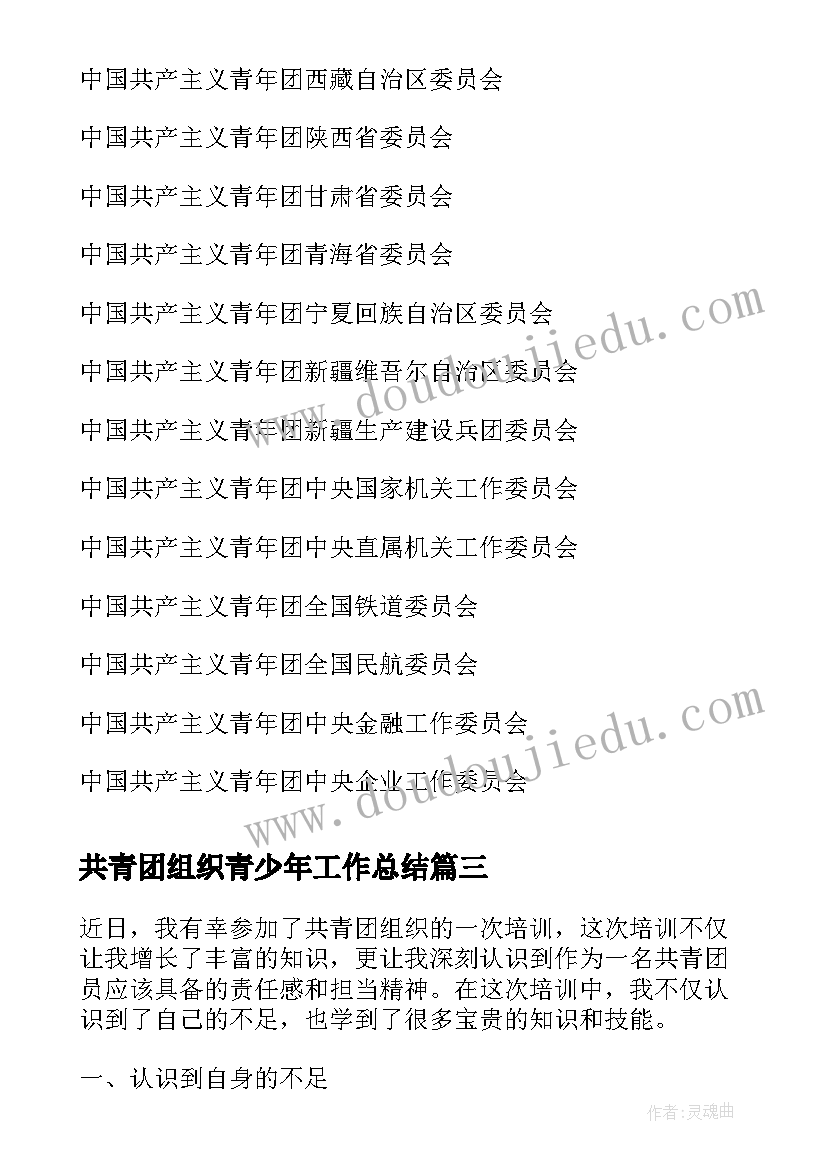 2023年共青团组织青少年工作总结 共青团组织关系介绍信(通用9篇)