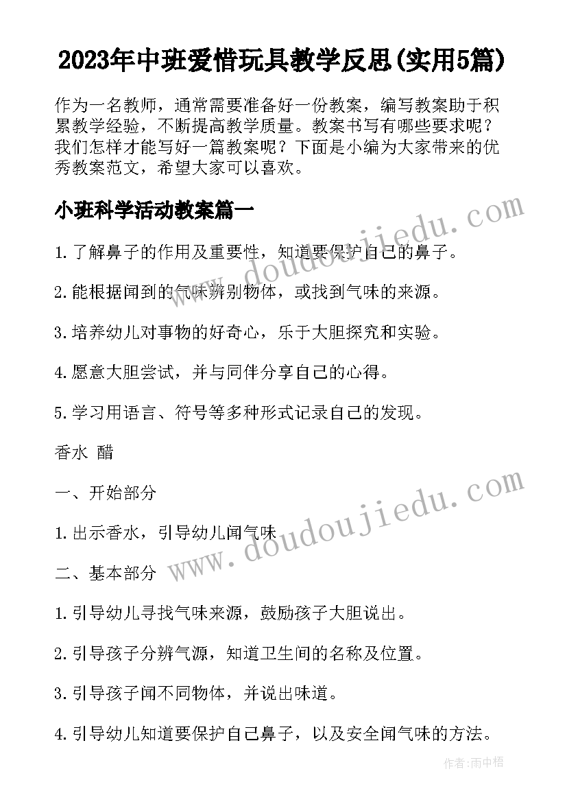 2023年中班爱惜玩具教学反思(实用5篇)