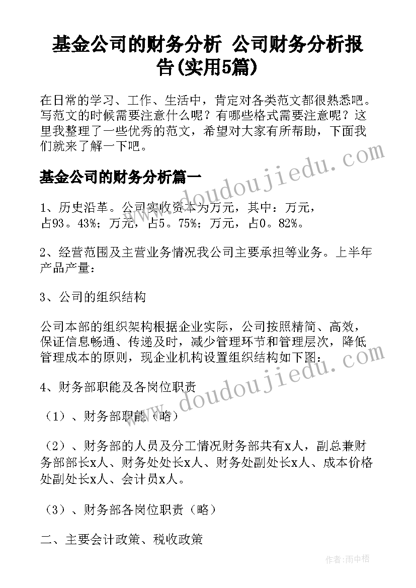 基金公司的财务分析 公司财务分析报告(实用5篇)