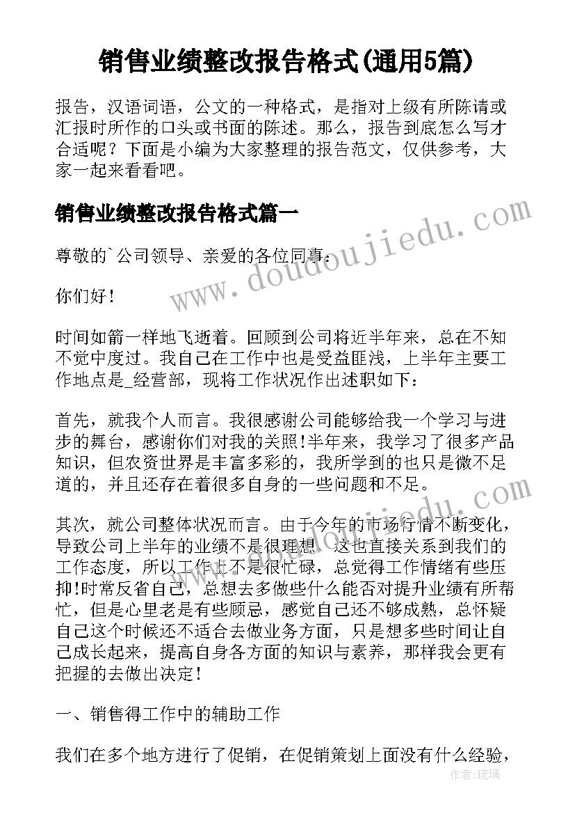 销售业绩整改报告格式(通用5篇)