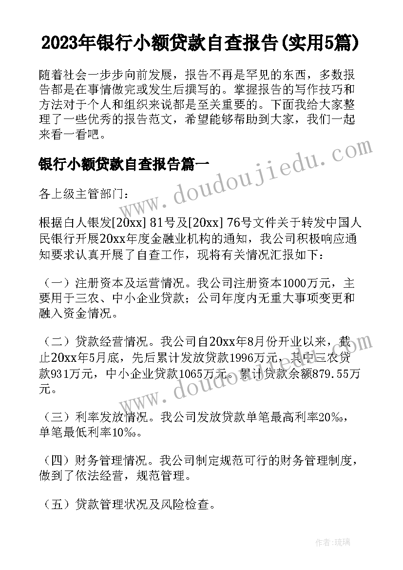 2023年银行小额贷款自查报告(实用5篇)