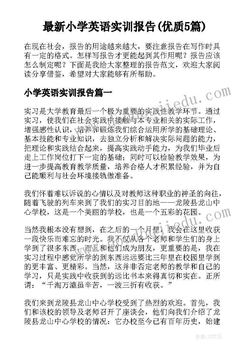 最新小学英语实训报告(优质5篇)