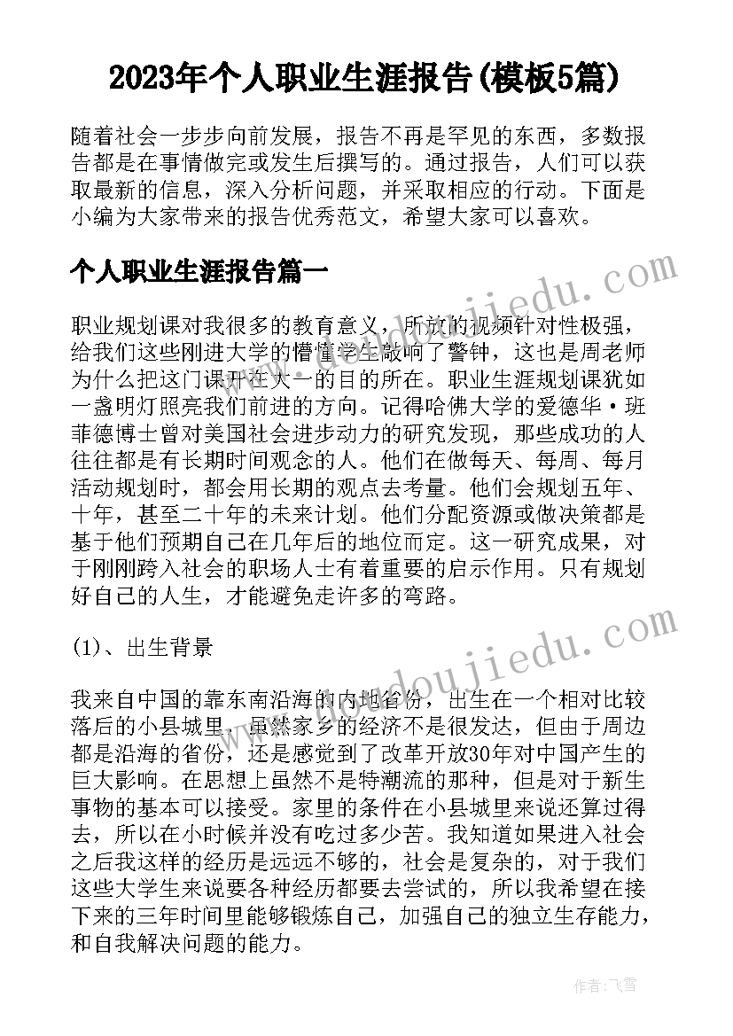 2023年个人职业生涯报告(模板5篇)