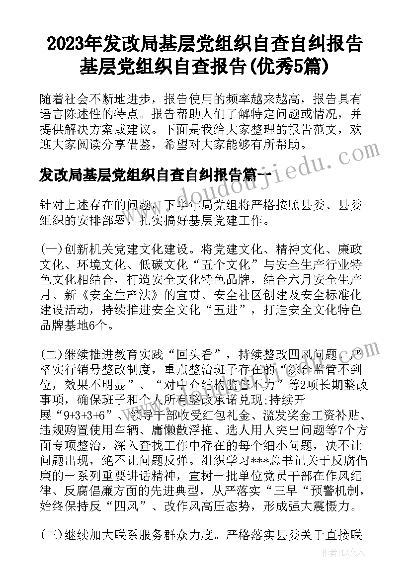 2023年发改局基层党组织自查自纠报告 基层党组织自查报告(优秀5篇)