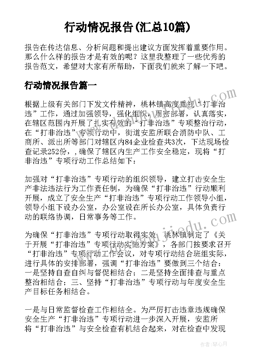 行动情况报告(汇总10篇)