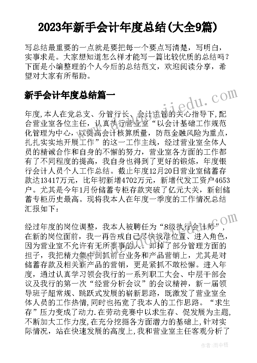 2023年新手会计年度总结(大全9篇)