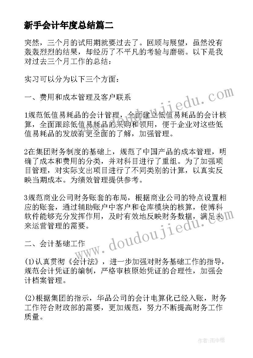 2023年新手会计年度总结(大全9篇)