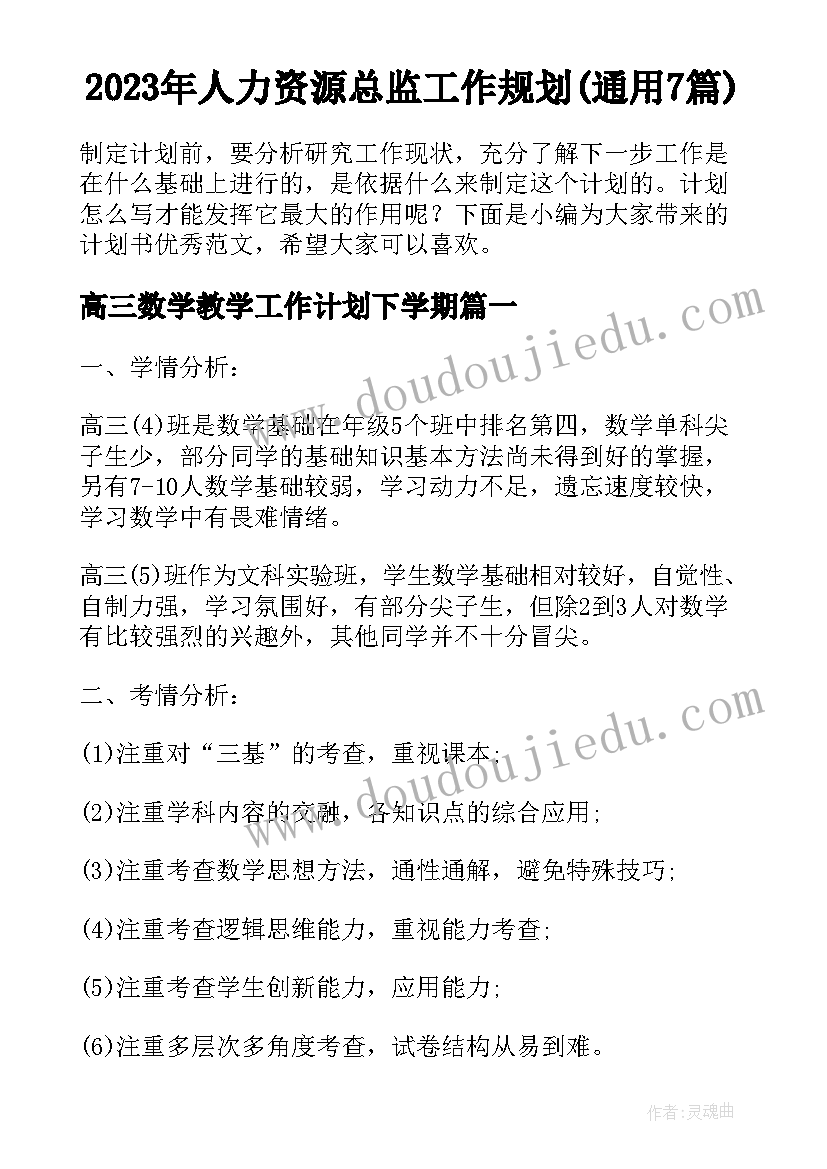 2023年人力资源总监工作规划(通用7篇)