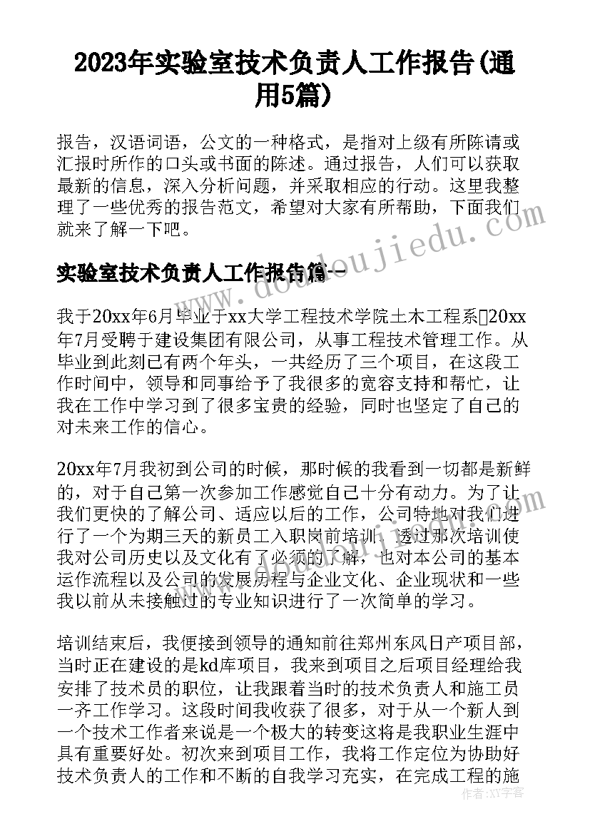 2023年实验室技术负责人工作报告(通用5篇)