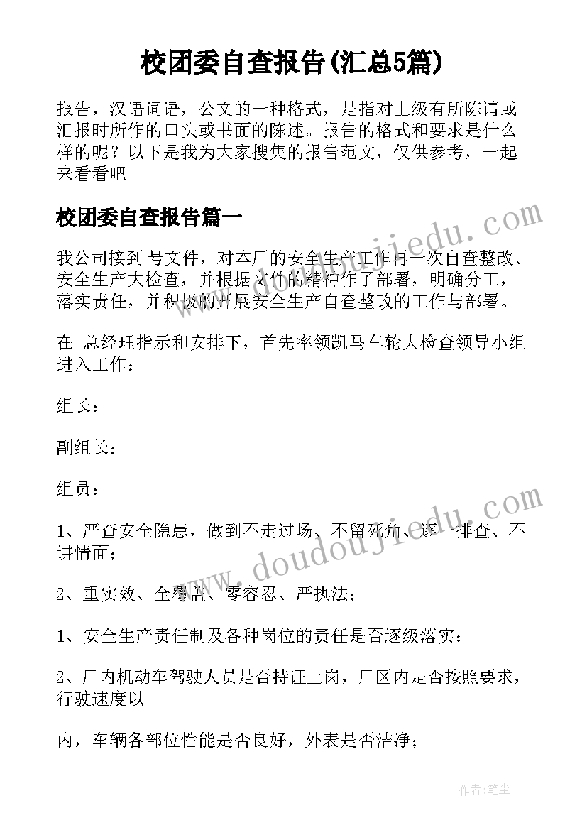 校团委自查报告(汇总5篇)