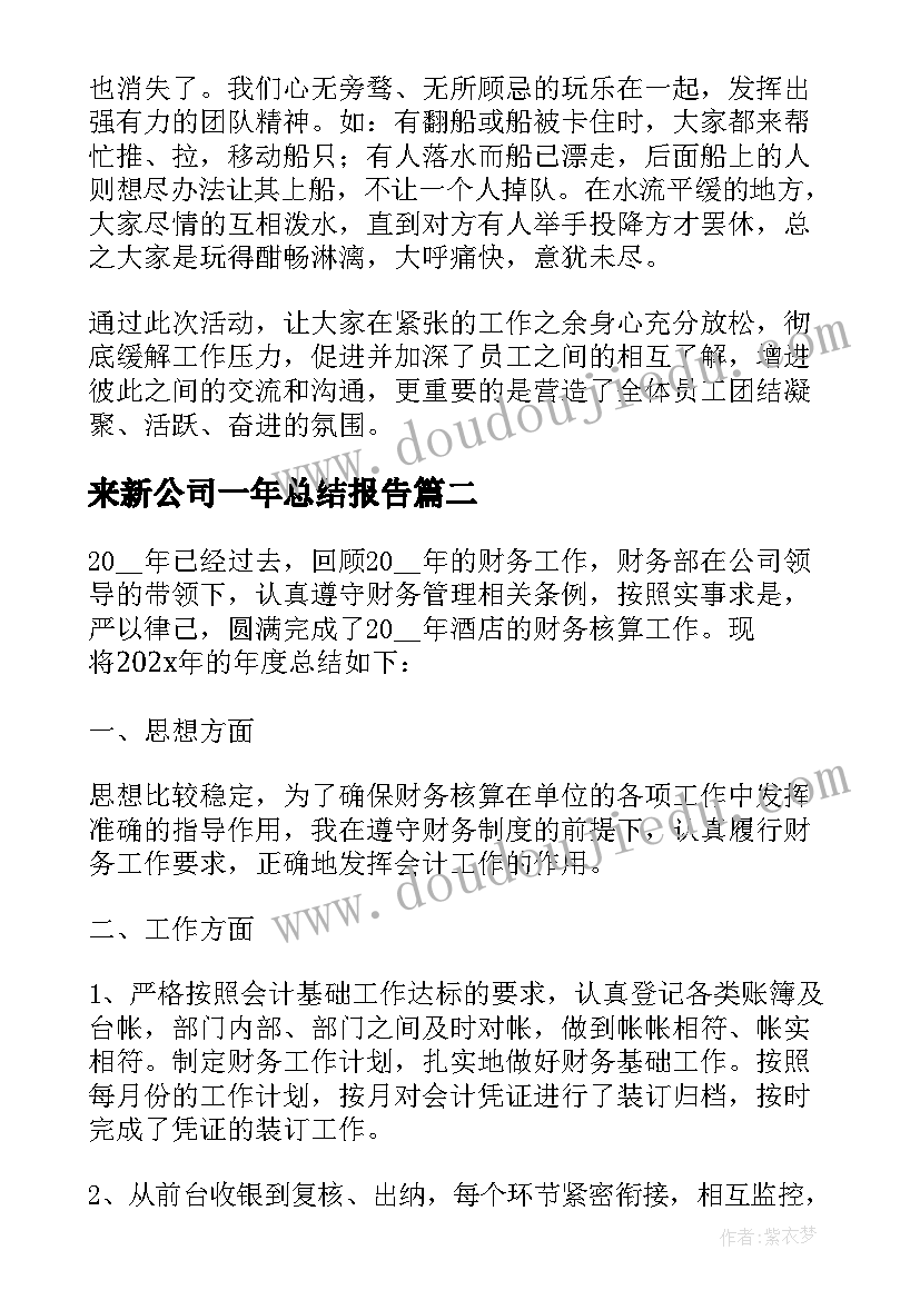 2023年来新公司一年总结报告(汇总5篇)