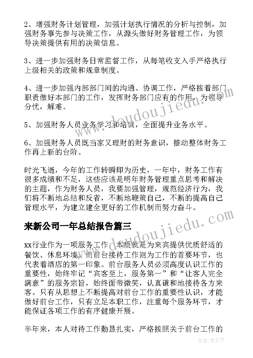 2023年来新公司一年总结报告(汇总5篇)