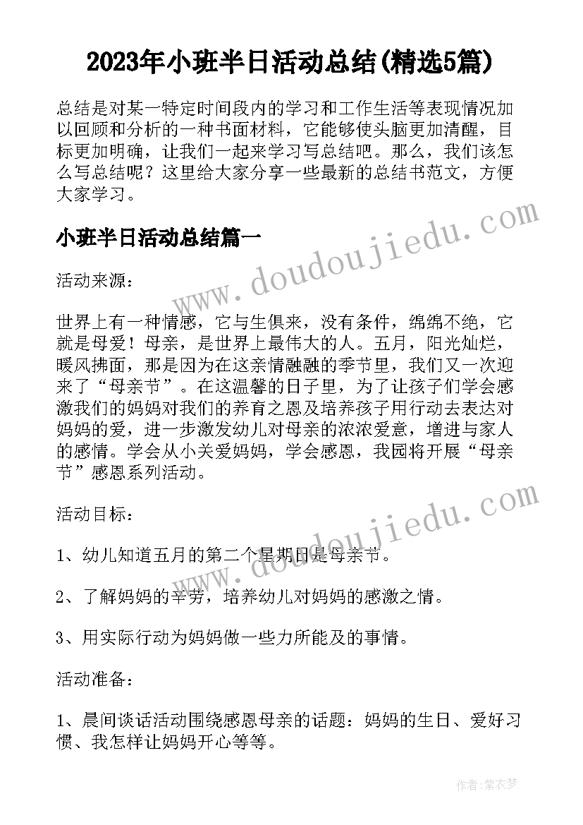 2023年小班半日活动总结(精选5篇)