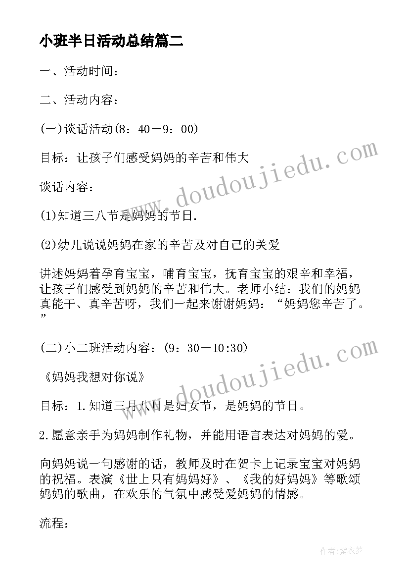 2023年小班半日活动总结(精选5篇)