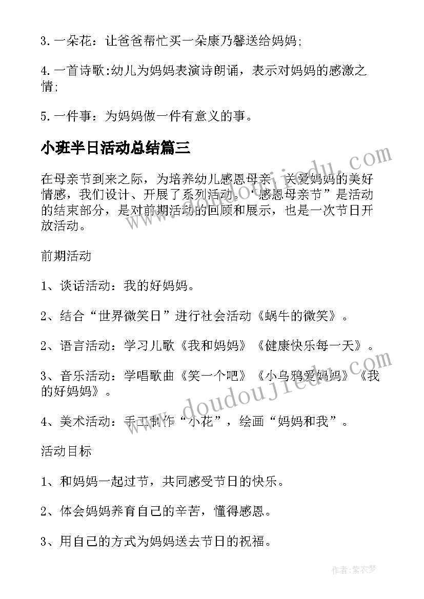 2023年小班半日活动总结(精选5篇)