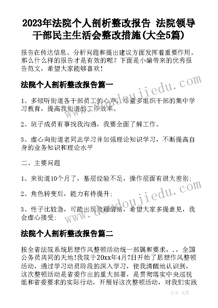 2023年法院个人剖析整改报告 法院领导干部民主生活会整改措施(大全5篇)