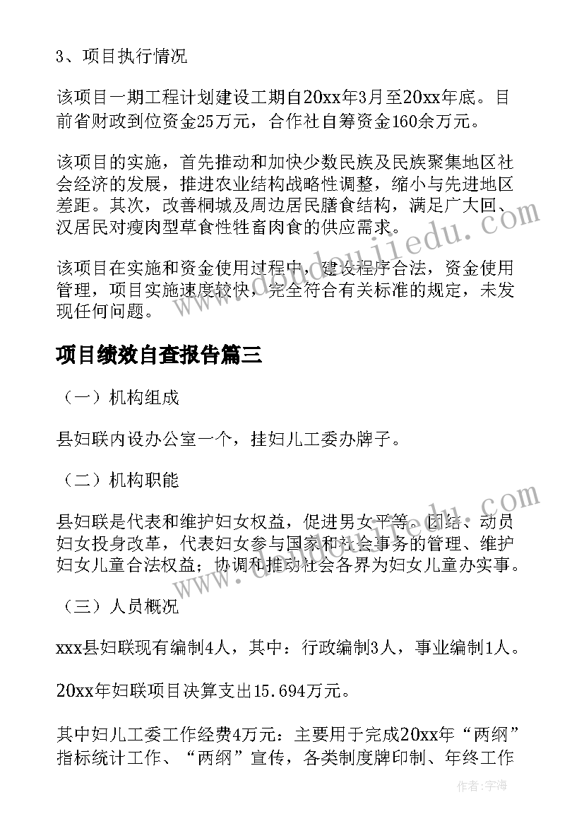 最新项目绩效自查报告(优质5篇)