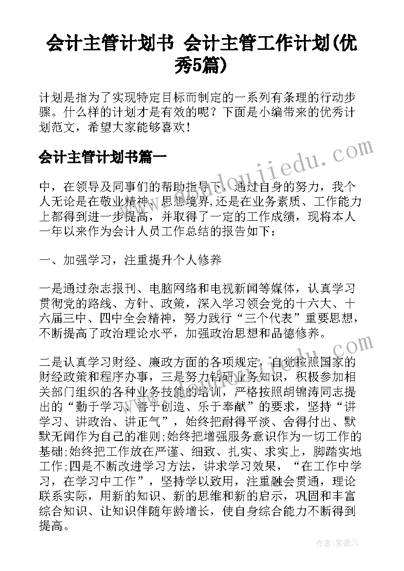 会计主管计划书 会计主管工作计划(优秀5篇)