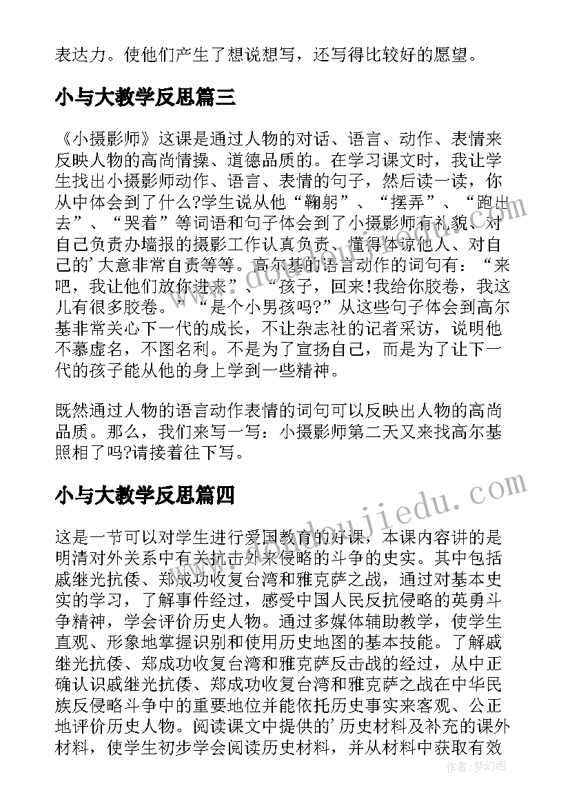 2023年小与大教学反思 小摄影师教学反思(优秀6篇)