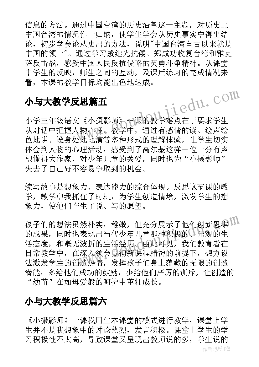 2023年小与大教学反思 小摄影师教学反思(优秀6篇)