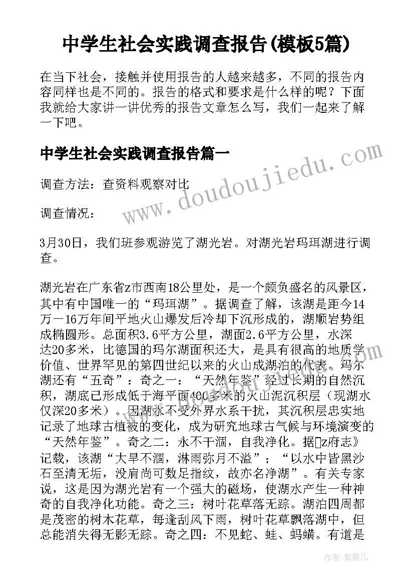 中学生社会实践调查报告(模板5篇)