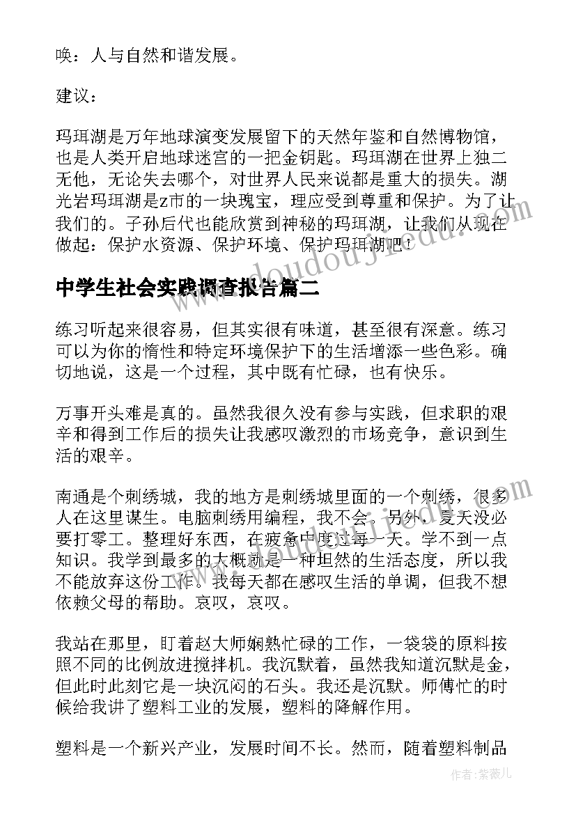 中学生社会实践调查报告(模板5篇)