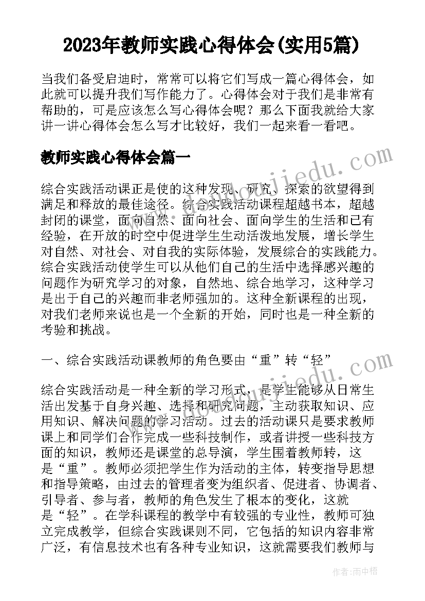 2023年教师实践心得体会(实用5篇)