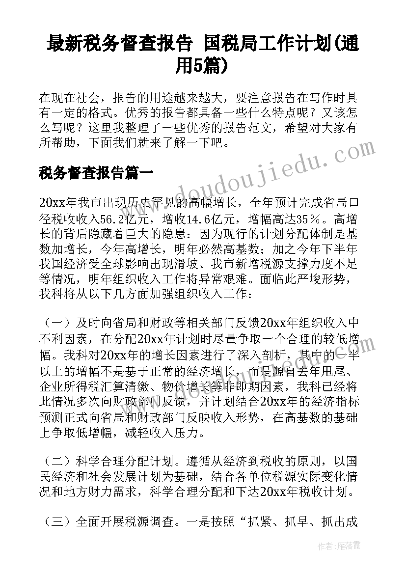 最新税务督查报告 国税局工作计划(通用5篇)