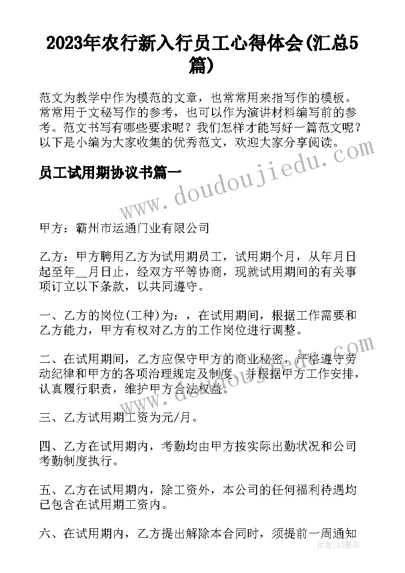 2023年农行新入行员工心得体会(汇总5篇)