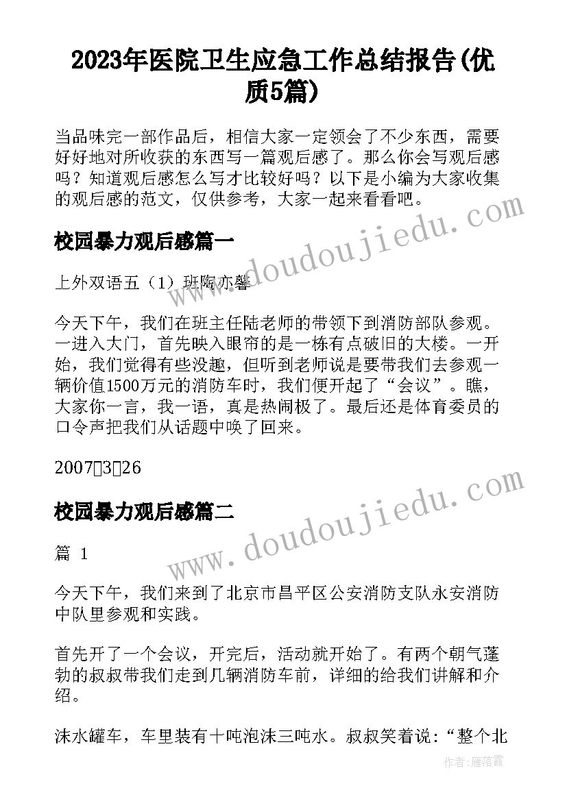 2023年医院卫生应急工作总结报告(优质5篇)