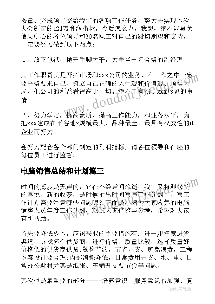 最新电脑销售总结和计划 电脑销售个人工作计划(模板8篇)