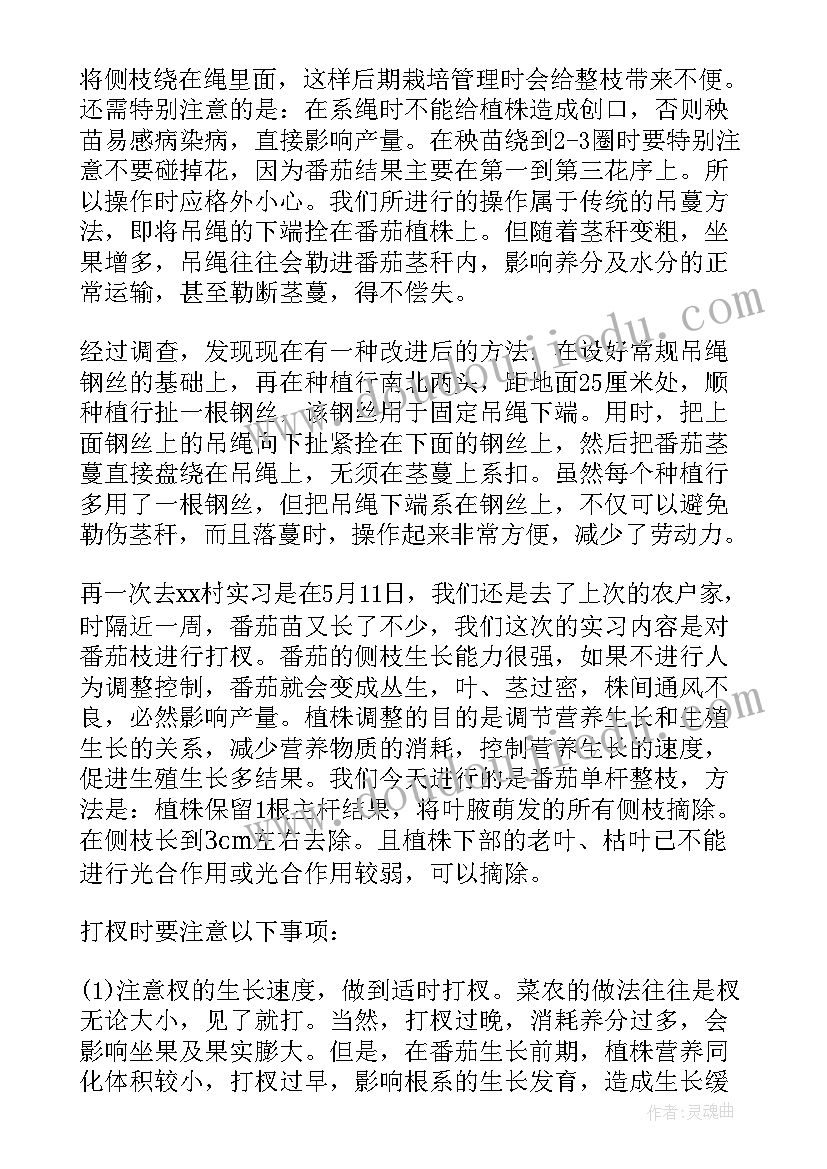 最新园艺专业论文题目 园艺专业实习报告(大全5篇)