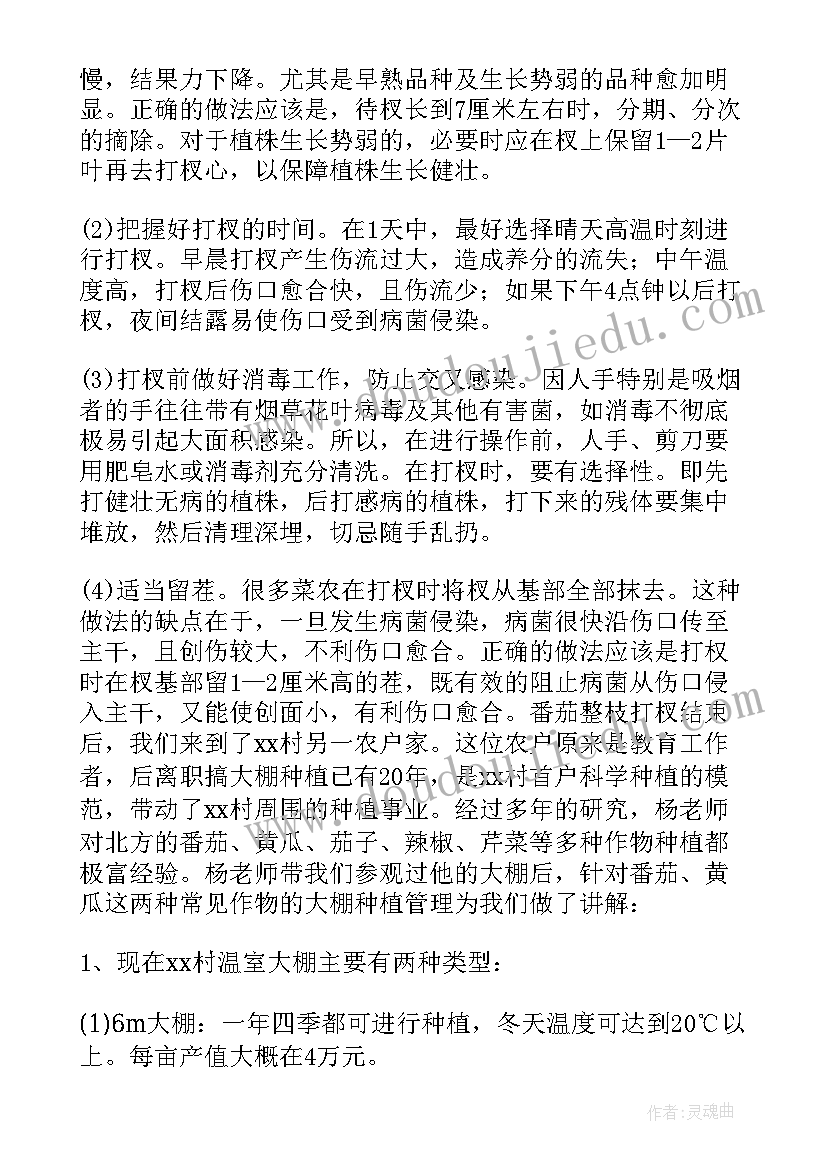 最新园艺专业论文题目 园艺专业实习报告(大全5篇)