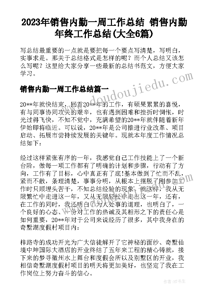 2023年销售内勤一周工作总结 销售内勤年终工作总结(大全6篇)