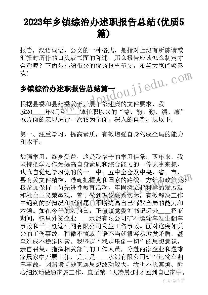 2023年乡镇综治办述职报告总结(优质5篇)