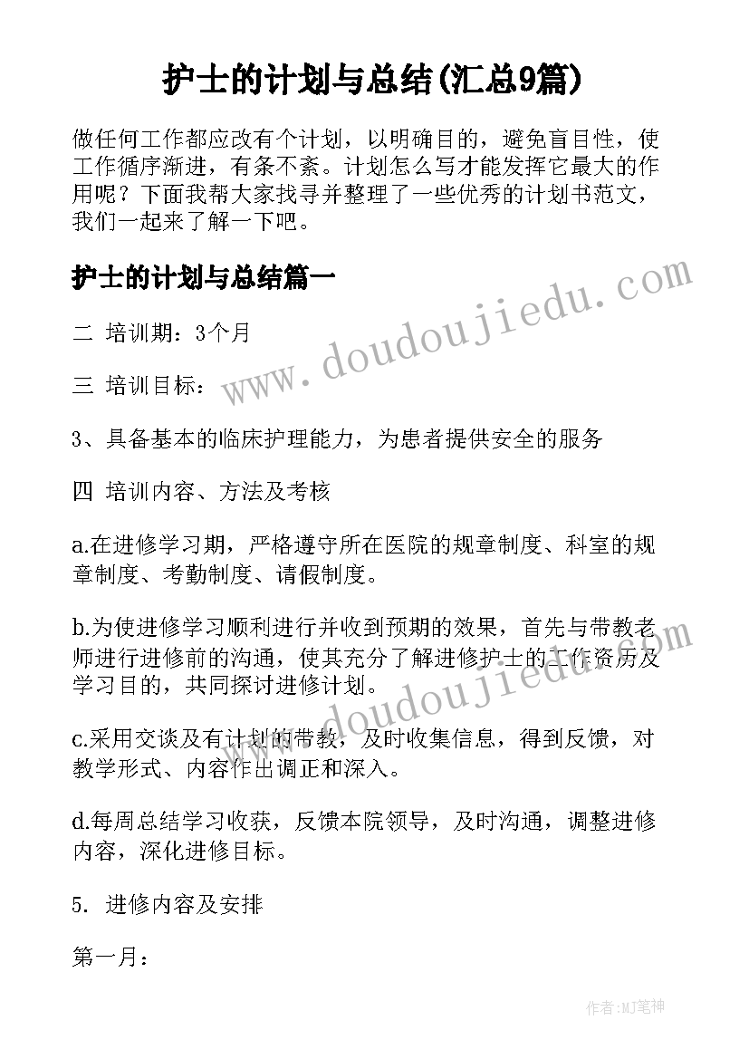 护士的计划与总结(汇总9篇)