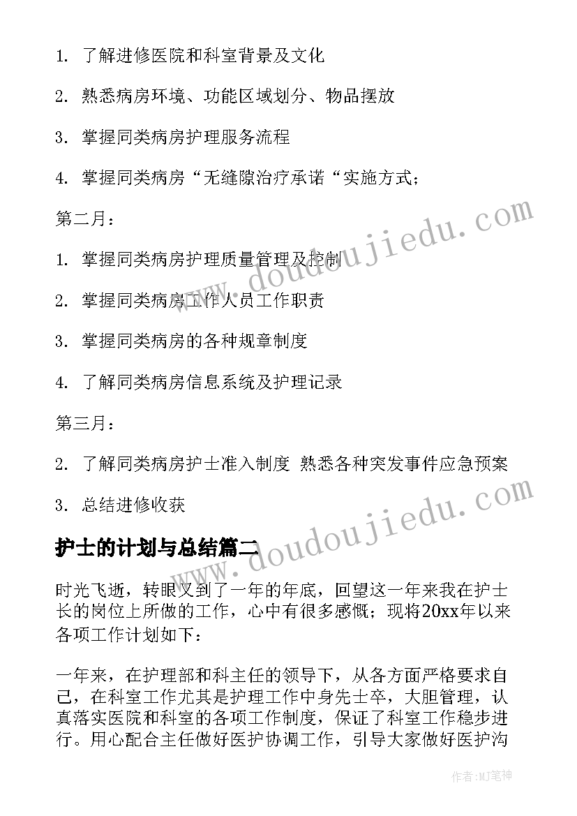 护士的计划与总结(汇总9篇)