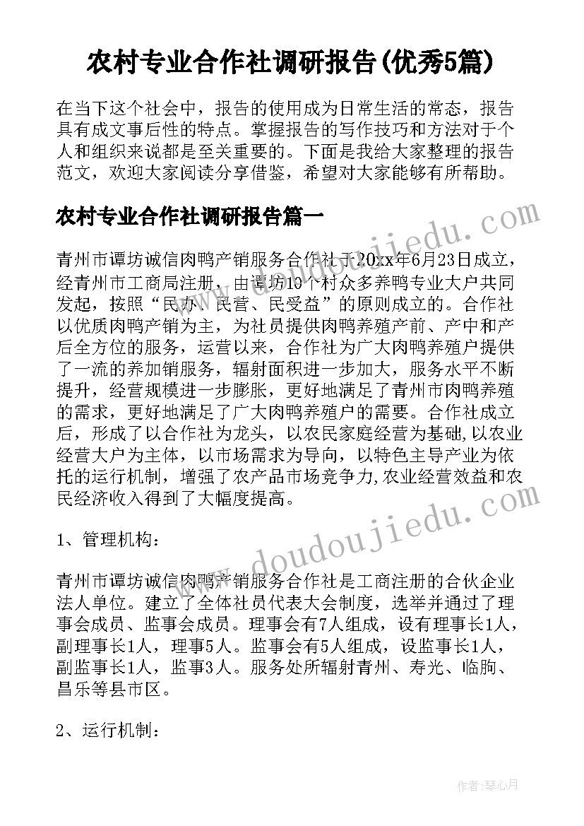 农村专业合作社调研报告(优秀5篇)