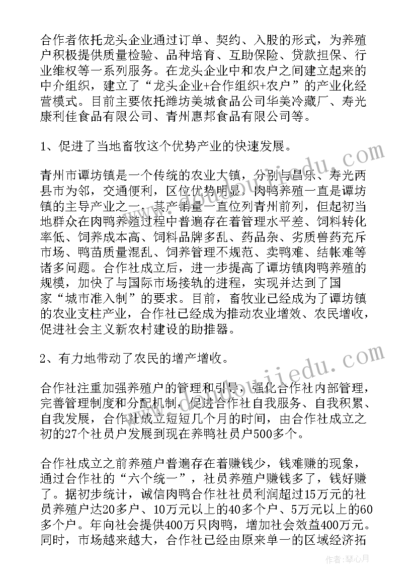 农村专业合作社调研报告(优秀5篇)