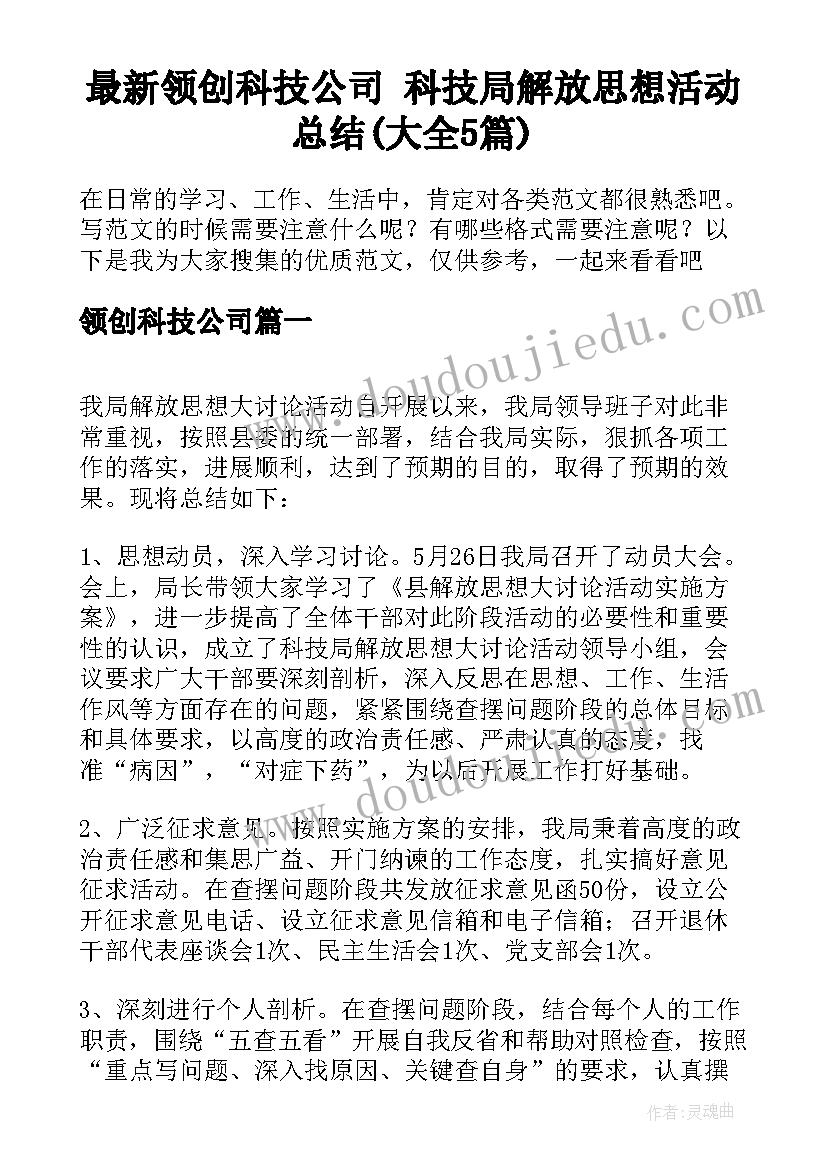 最新领创科技公司 科技局解放思想活动总结(大全5篇)